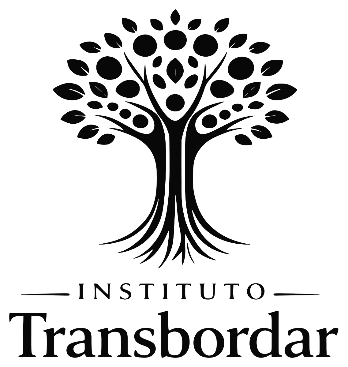 Instituto Transbordar