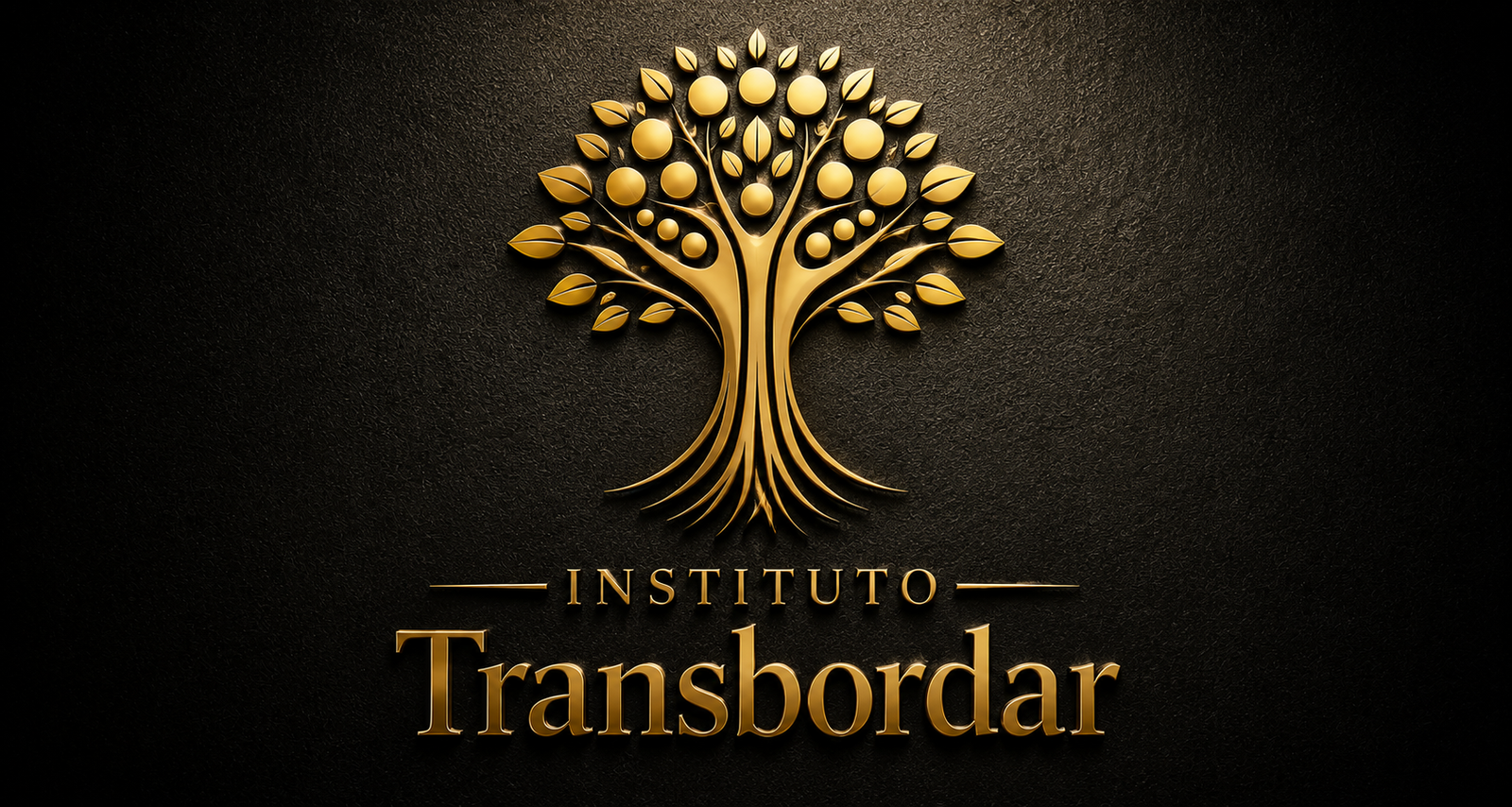 Instituto Transbordar
